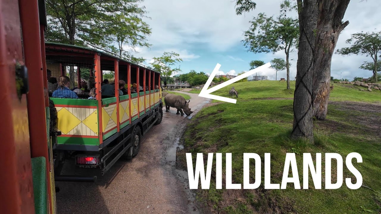 Wildlands Zoo Emmen the Netherlands 4K