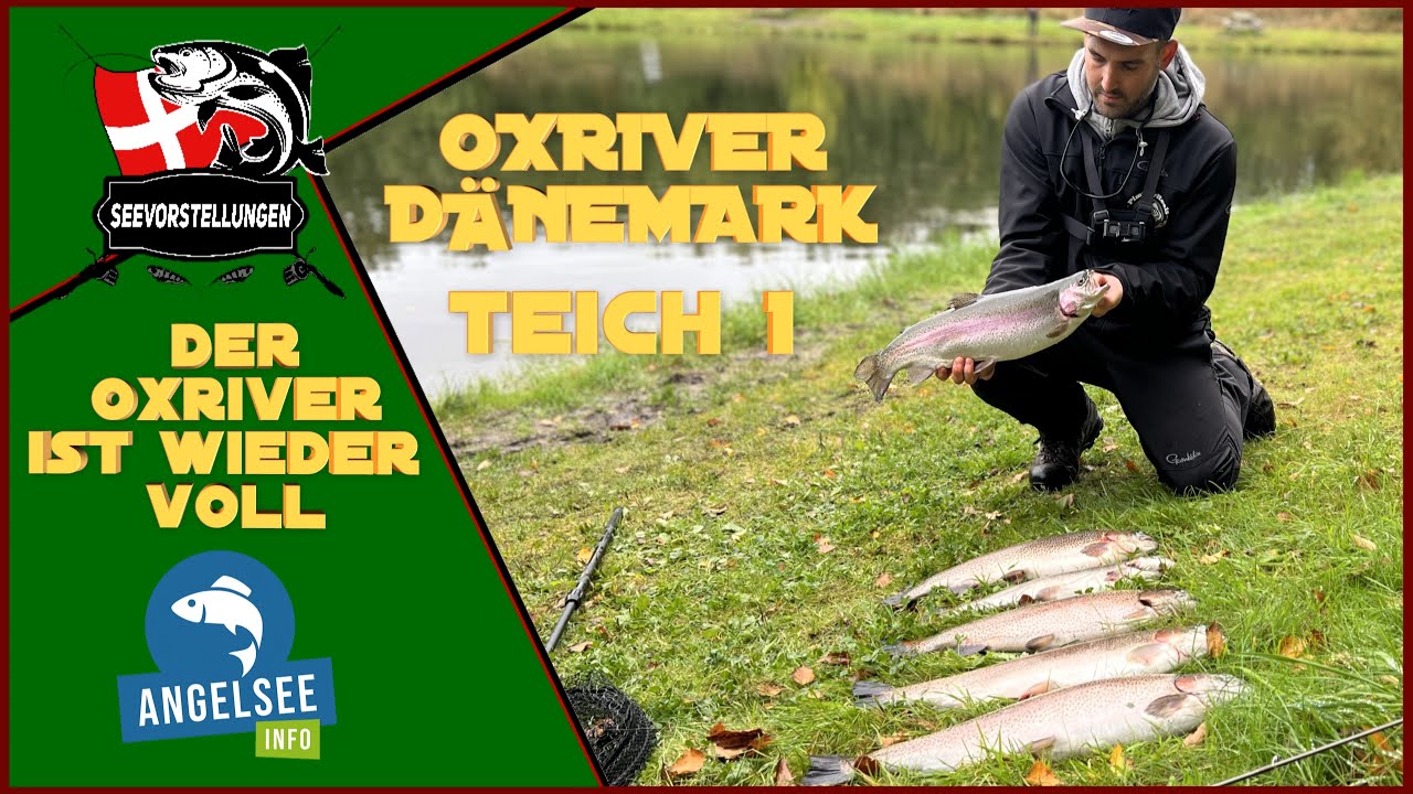 OXRIVER II PUT&TAKE II LACHSFORELLEN IN DÄNEMARK II LIBRA LURE II WOBBLER II