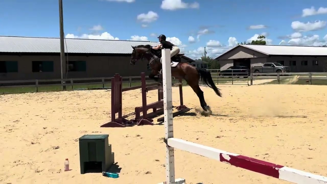 Samantha Baggett - 1.15m course work at home