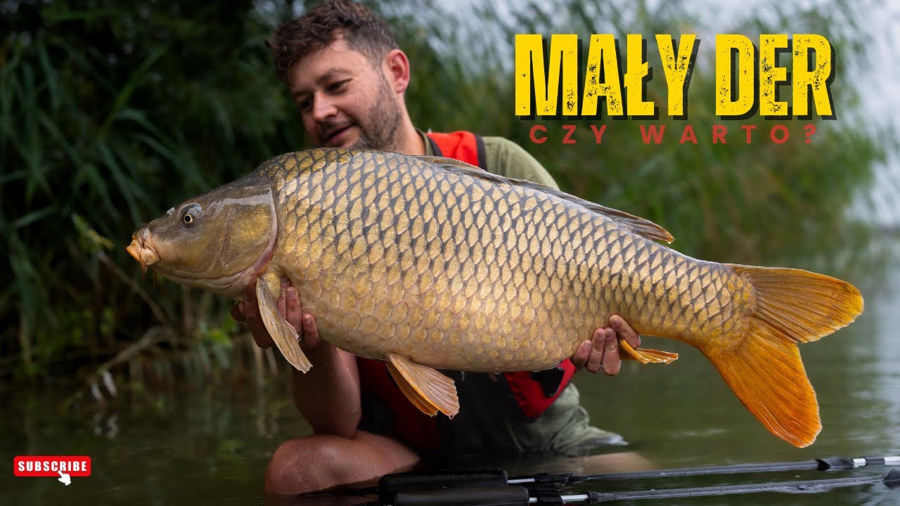 Mały Der &ndash; karpiarstwo we Francji | Lac du Der