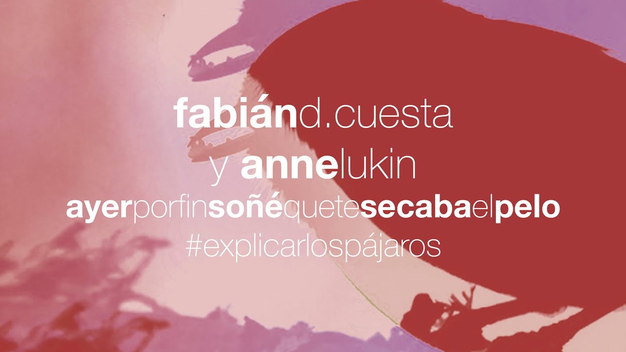 Fabián D. Cuesta con Anne Lukin - Ayer por fin soñé que te secaba el pelo - #Explicarlospájaros