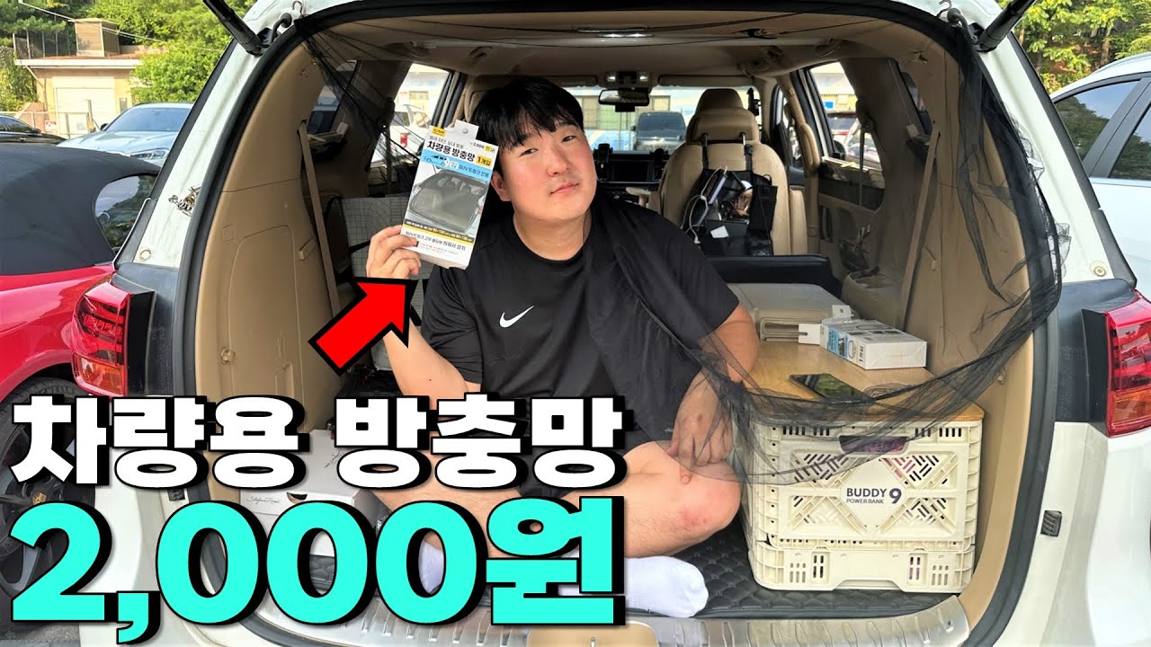 지금 당장 다이소로 가야 하는 이유! | 2,000원짜리 차박 모기장 | 모든 SUV 가능