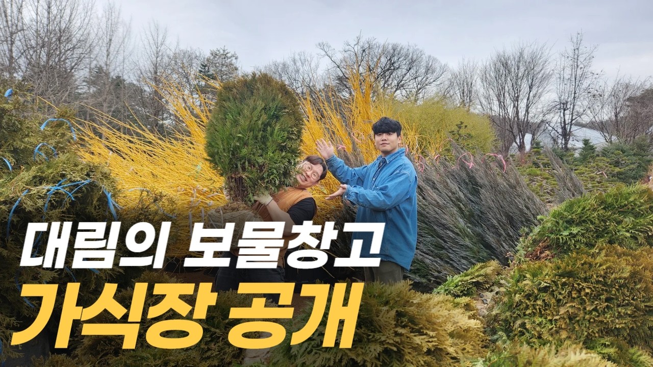 ❤️구독자 이벤트❤️ 두구두구...대림의 보물창고를 소개합니다🤗