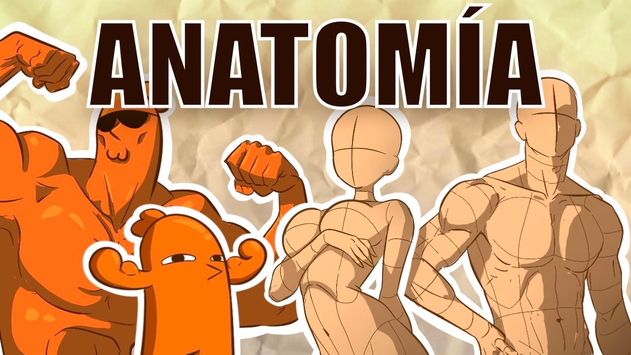 Todo lo que tienes que saber de ANATOMÍA