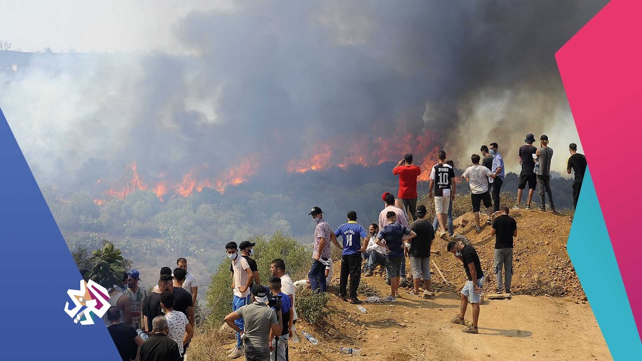 الجزائر .. ارتفاع حصيلة ضحايا الحرائق التي تواصل التمدد للولايات المجاورة │ أخبار العربي