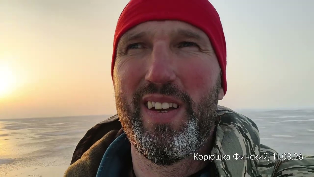 Корюшка Финский Северный берег 11.03.26. Много рыбы🐟🐟🐟🐟