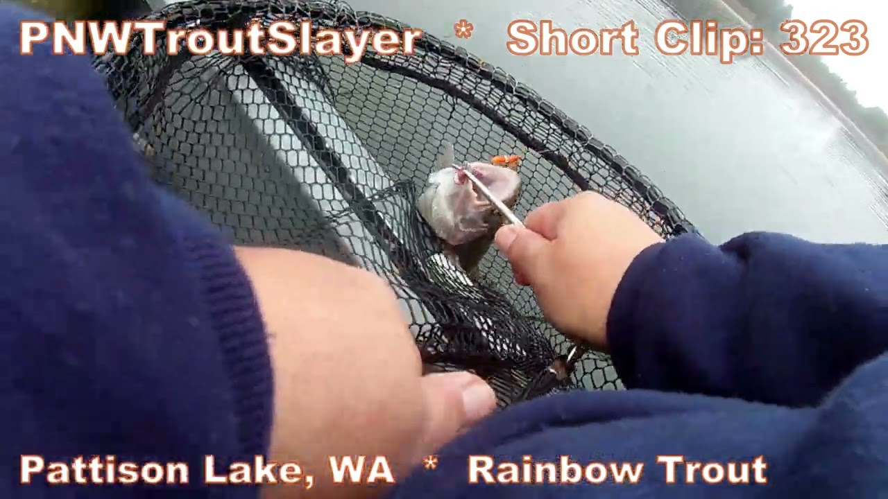 Short Clip #323 #pattisonlake #rainbowtrout #kayakfishing
