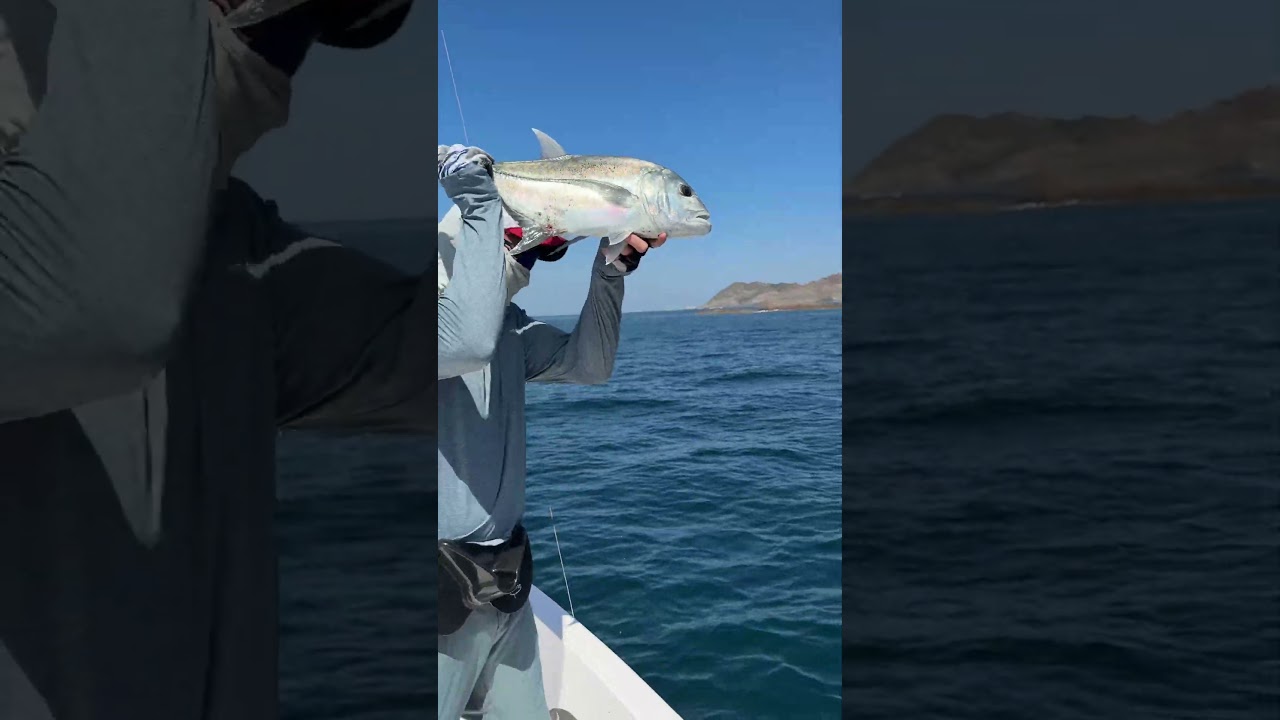 Рыбалка на попер в Омане #поймалотпусти #оман #gtfishing