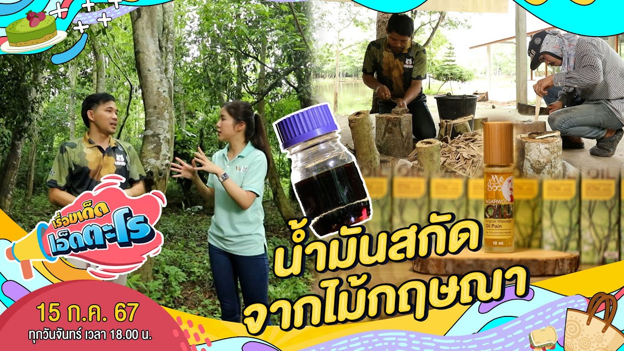 กว่าจะมาเป็นน้ำมันสกัดจาก 
