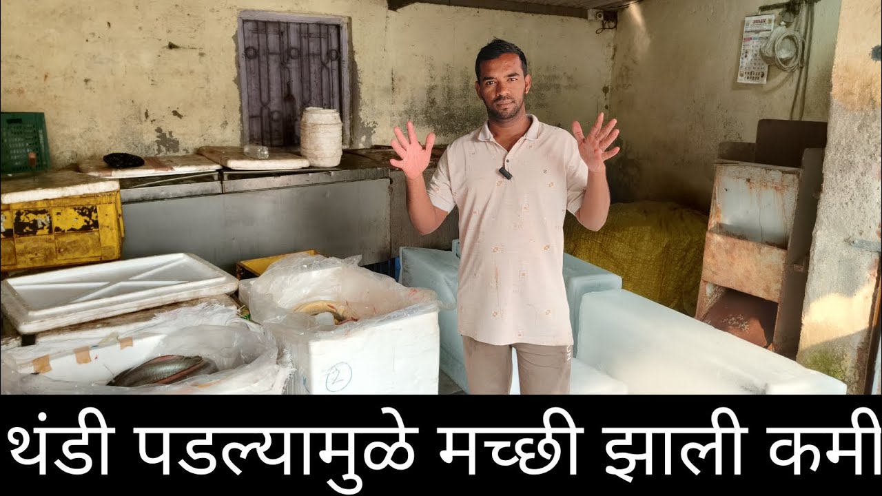 मच्छी झाली कमी थंडी पडल्यामुळे #viralvideo #trendingshorts #followmychannel 