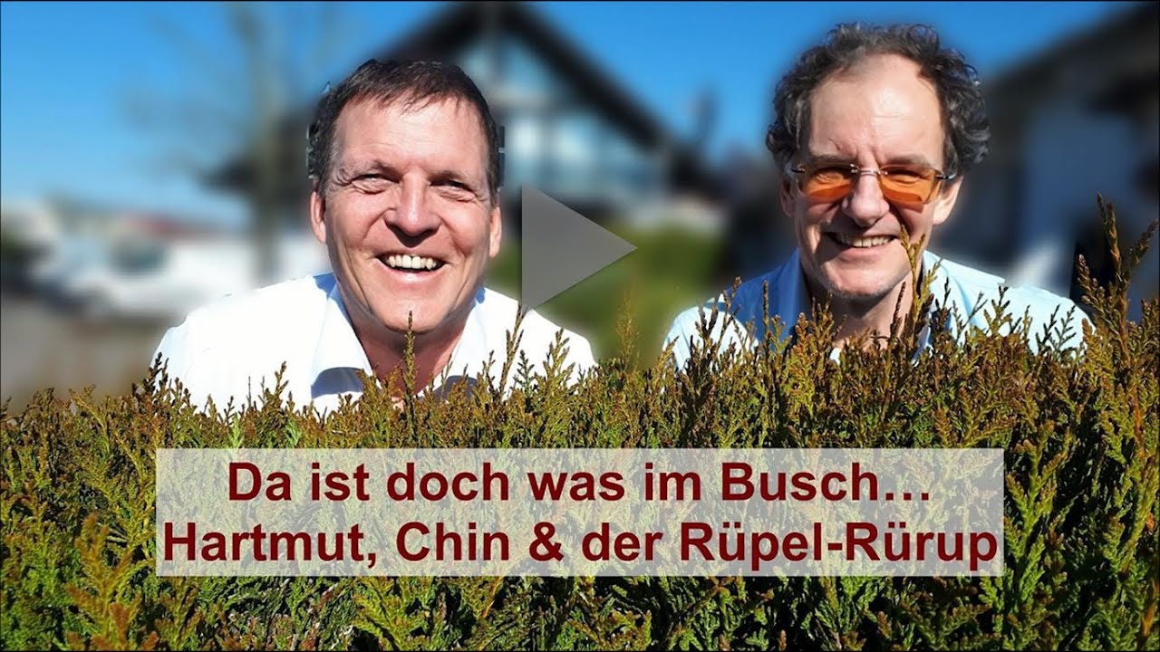 Hartmut, Chin und der Rüpel Rürup