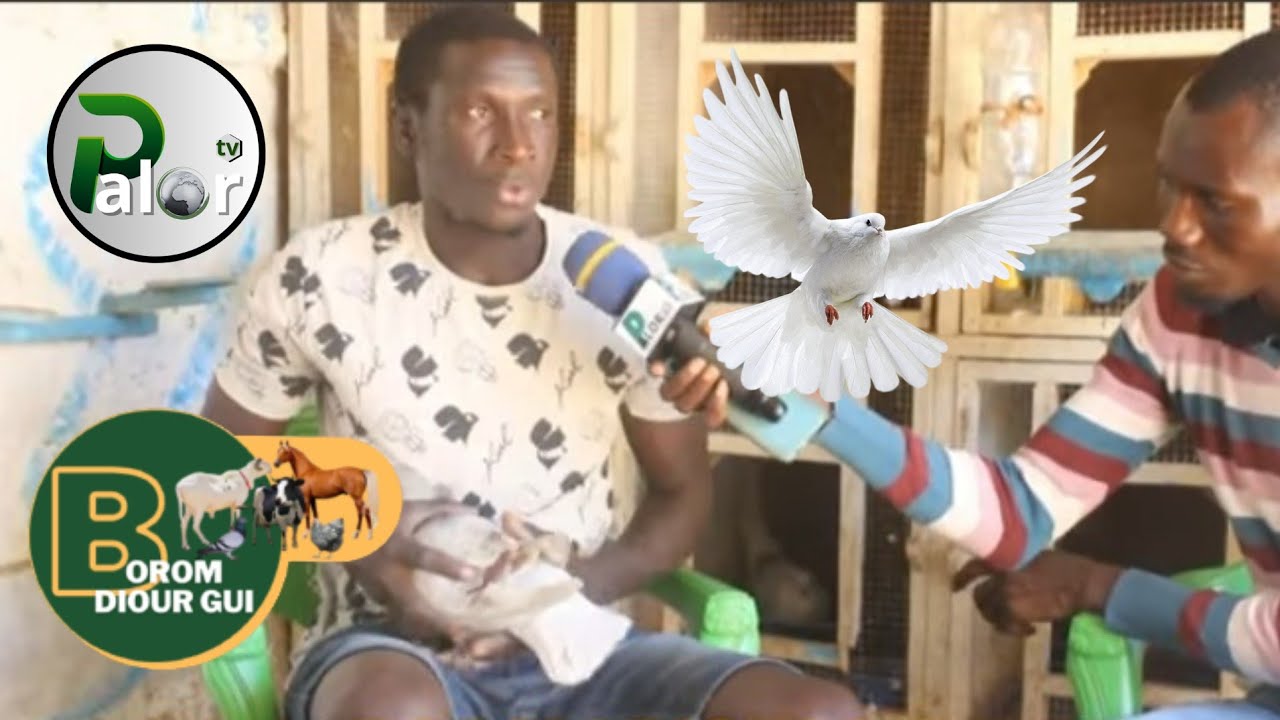 BOROM DIOURGUI AK LINE LE BOSS A MBOUR CHEZ BILAL NUMÉRO 05
