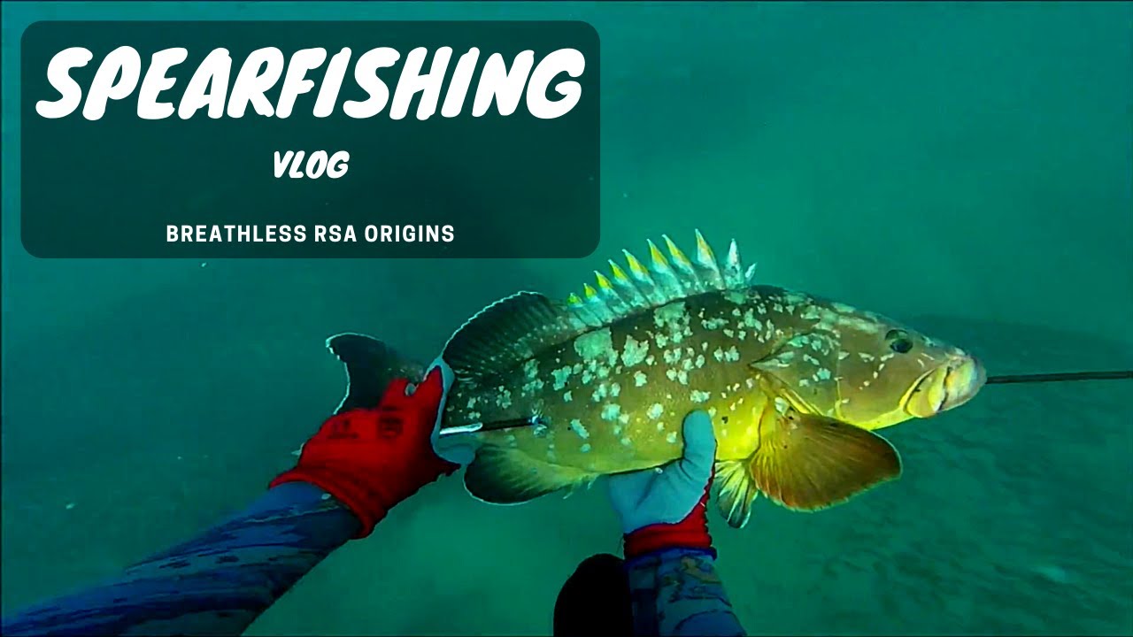 Breathless RSA | Our first SPEARFISHING video on YOUTUBE