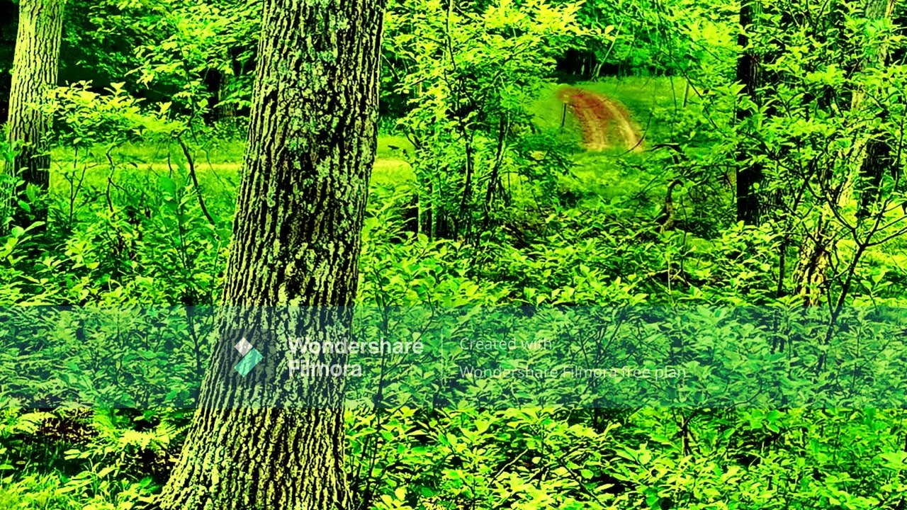 Sylvania - Luminary Of Spheres
