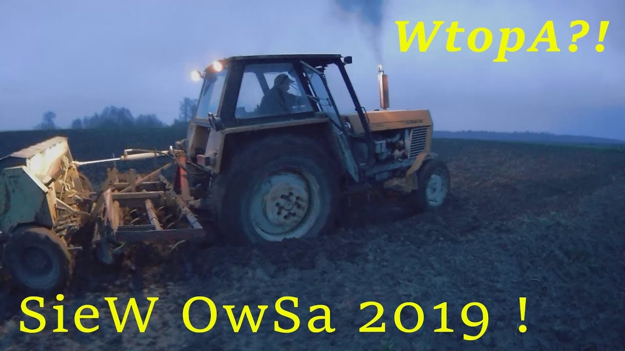 SiEw OwSa 2019 ! Ursus 1212 w AKCJI ! TRUDNY SieW ! WTOPA? prośba ;)