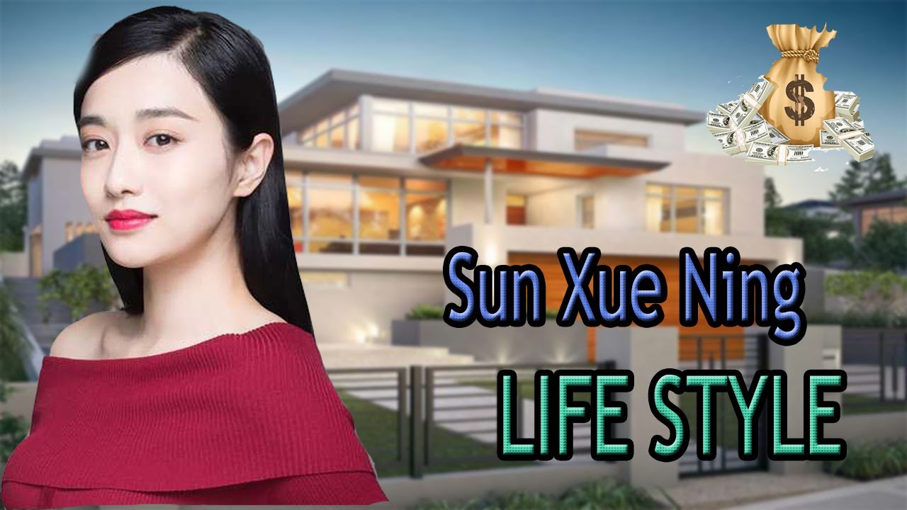 Sun Xue Ning  ( 孙雪宁)   BIOGRAPHY  ||    Lifestyle,  Networth, Family , Facts || 2020 ||