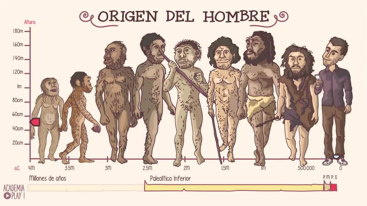El origen del hombre