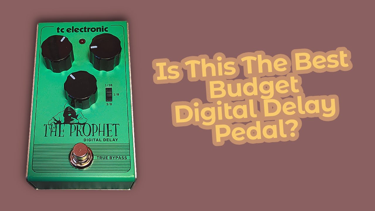 The REAL Sound of a Budget Digital Delay Pedal