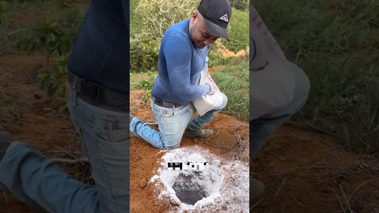 why White lime spread in farmland?