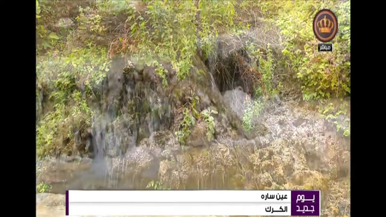 يوم جديد  الكرك  عين سارة