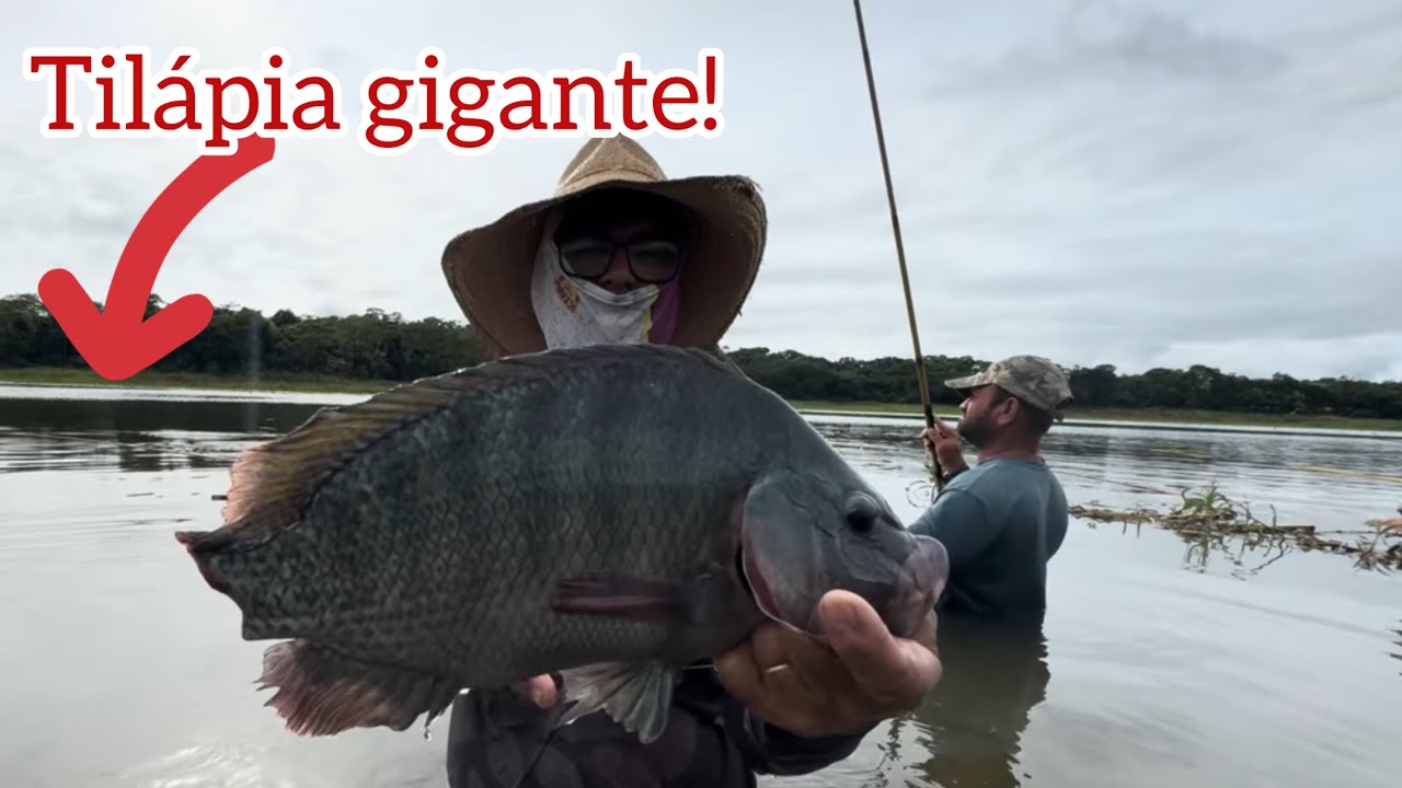 PESCARIA E ACAMPAMENTO, ERA UMA TILÁPIA ATRÁS DA OUTRA NO BAMBU NO RIO GRANDE!