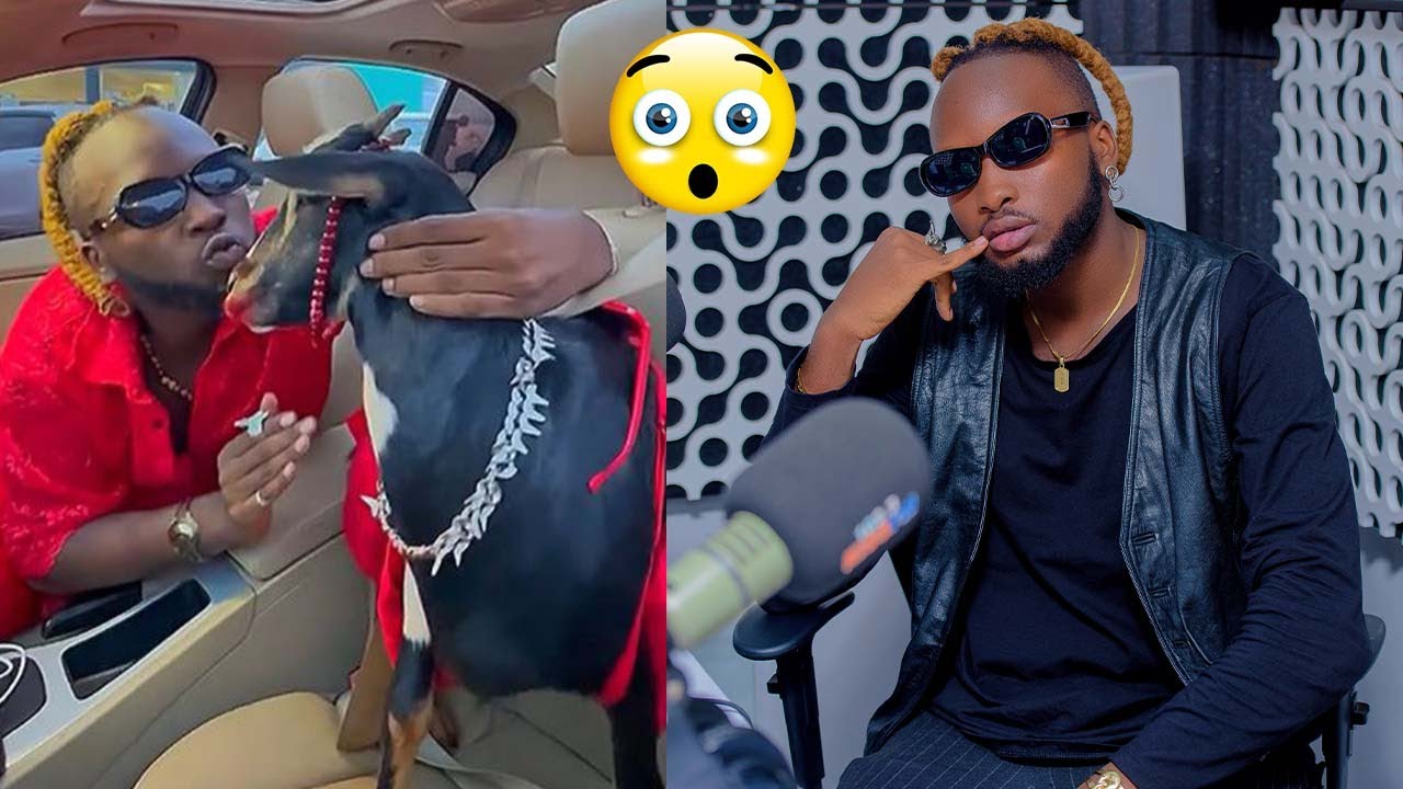🤣😂 KEVIN KADE AVUZE KU BYO GUSOMANA N'IHENE 😂 UMVA IKIGANIRO CYOSE MURI THE KISS DRIVE