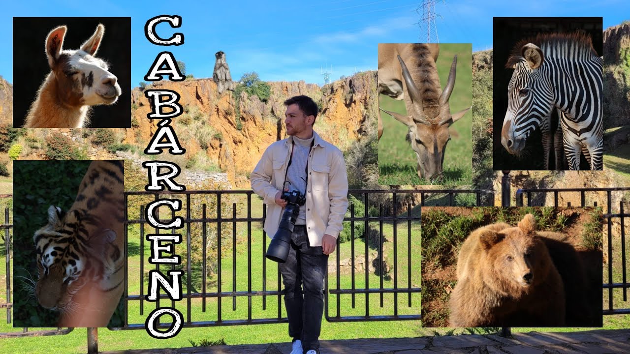 El PARQUE DE LA NATURALEZA DE CABÁRCENO | Lo bueno y lo malo 🐺🐻🐒