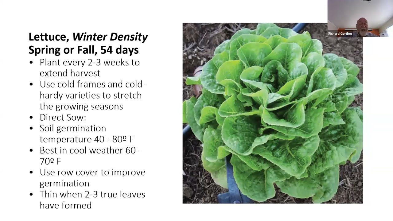 Edible Gardening:  Fall and Winter Vegetable Gardens