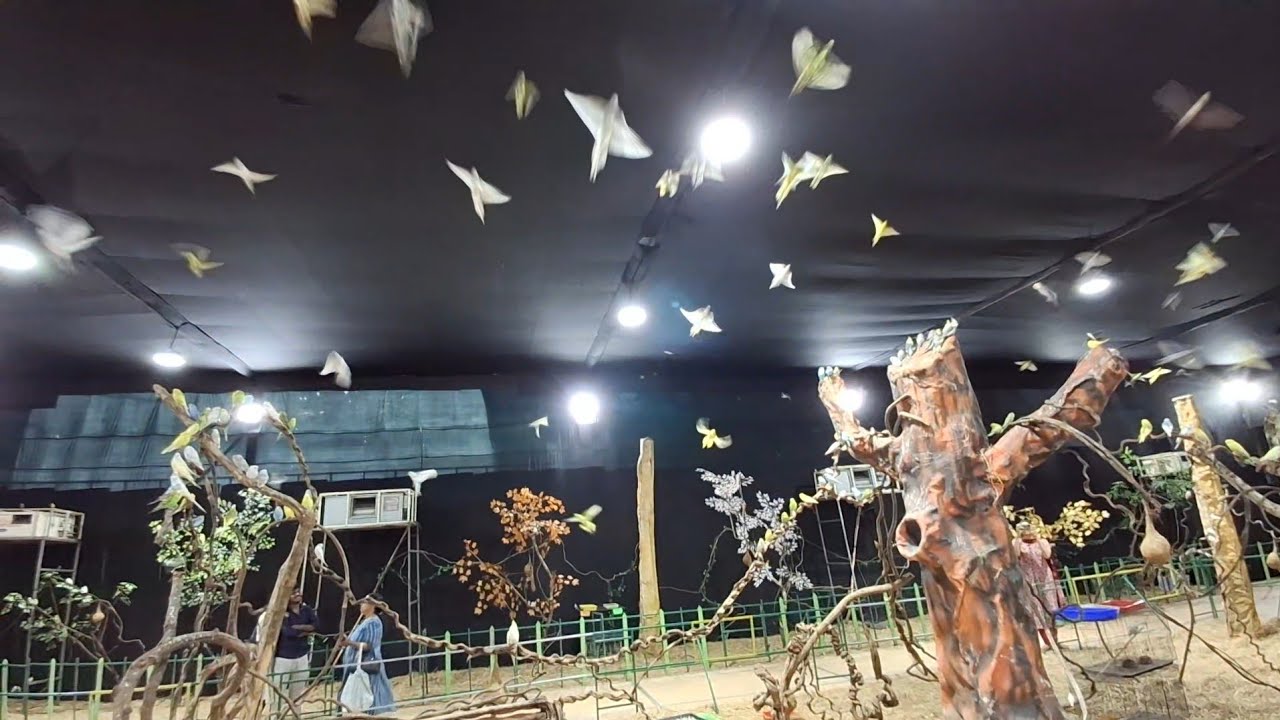 Thrissur flower show 2025 തൃശൂർ ഫ്‌ളവർ ഷോ 
