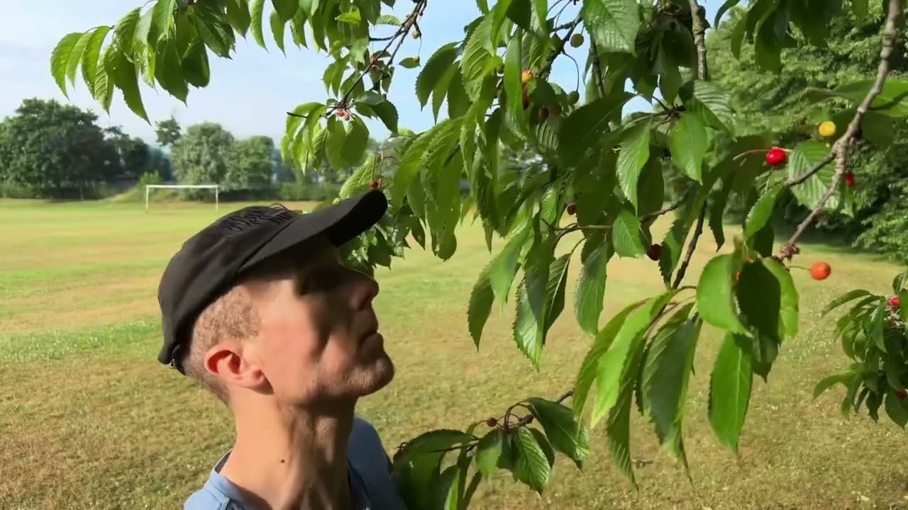 Introduction to Foraging Course - Overview