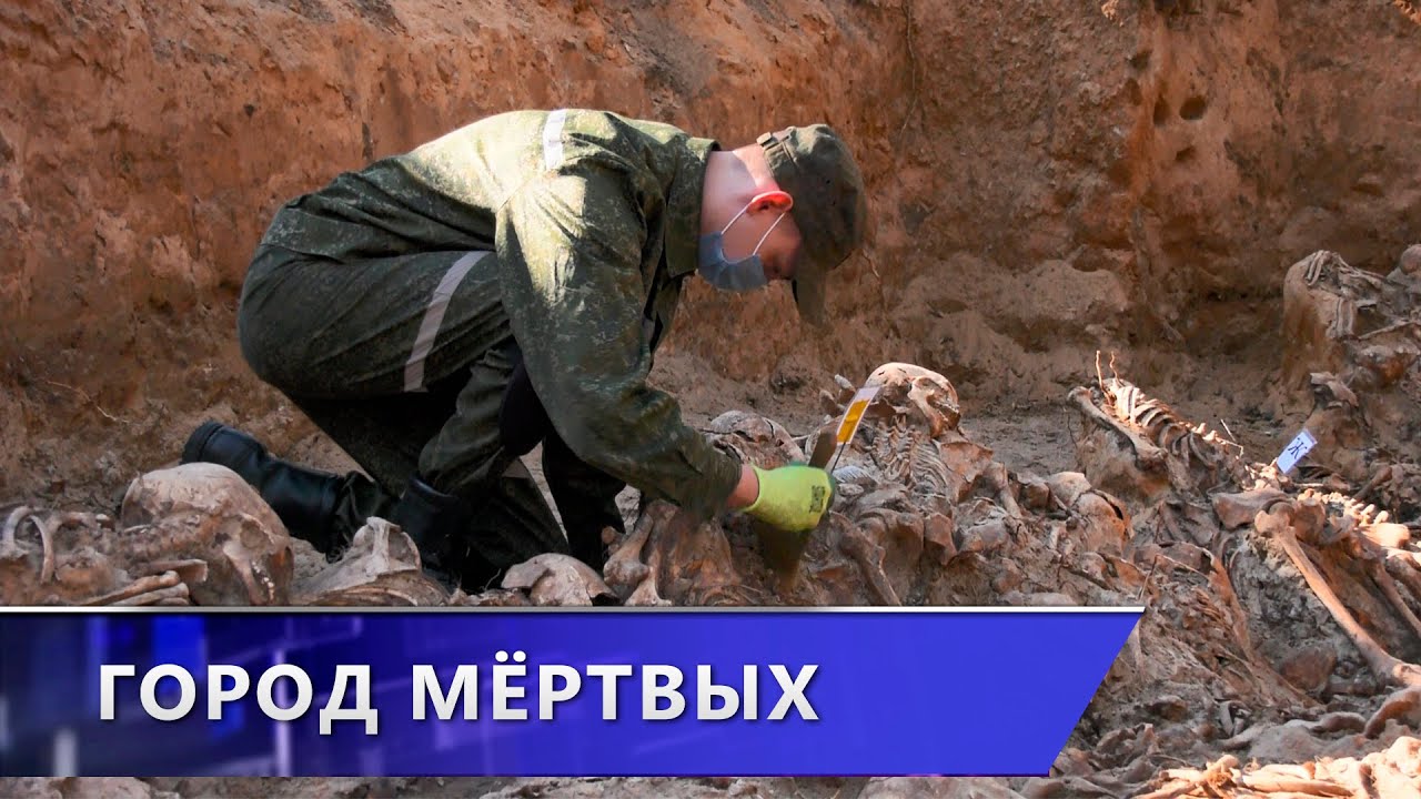 Город мёртвых.  Под Лепелем нашли братскую могилу времён войны (03.04.2025)