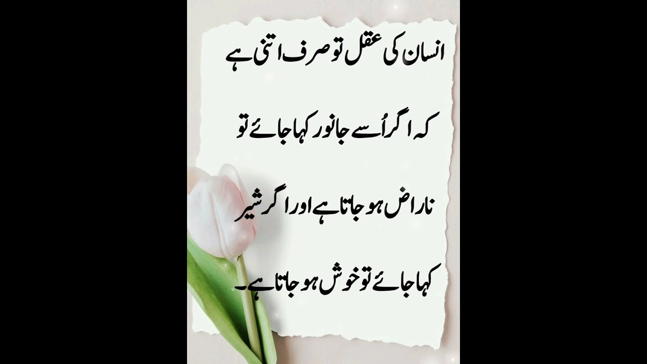 Mulana Roomi quotes | Life quotes | Motivational Quotes 