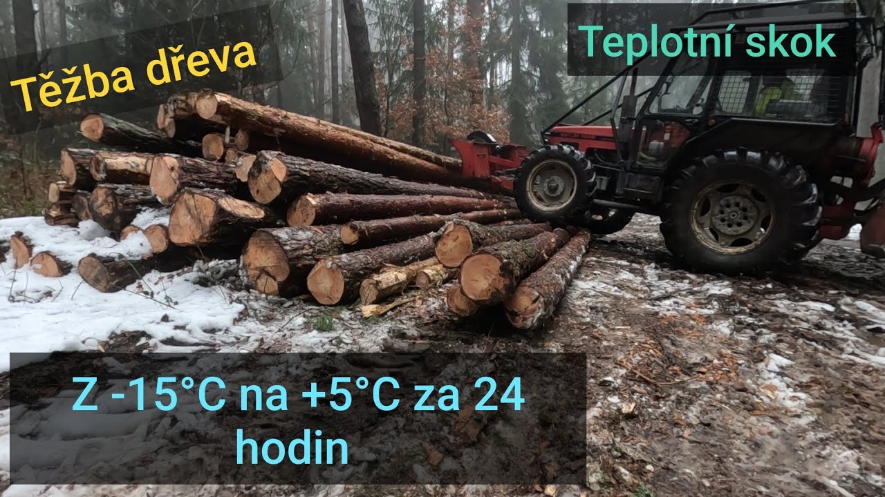 Změna počasí o 20°c během 24hodin, Těžba dřeva, Zetor 7245, Agama aga 2, Stihl Ms 362, JP Forest 
