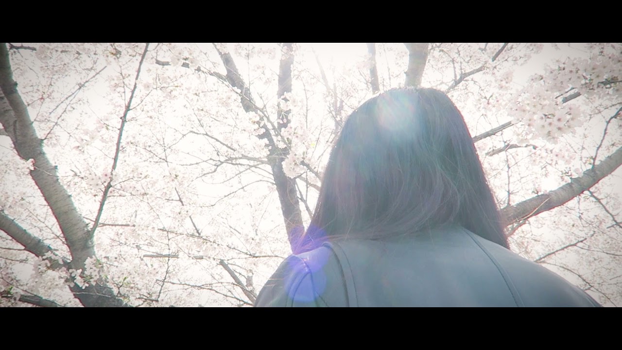 CHERRY BLOSSOM | CINEMATIC VIDEO | CANON G7X
