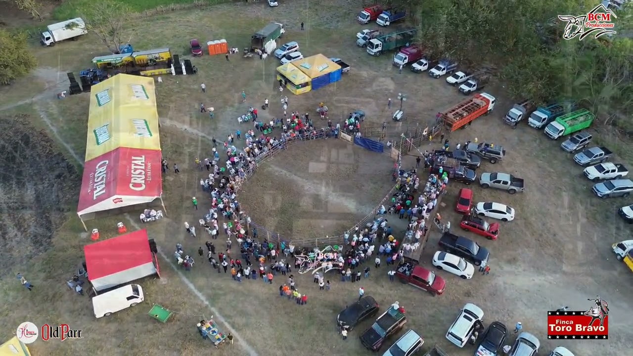 Toros en Fiesta de Pito Jiménez y Flia  Finca Toro Bravo, en Coronado 9 de febrero de 2026