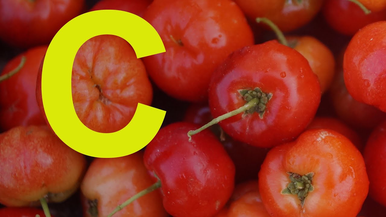 La Fruta Con Mayor Contenido de VITAMINA C en el Mundo