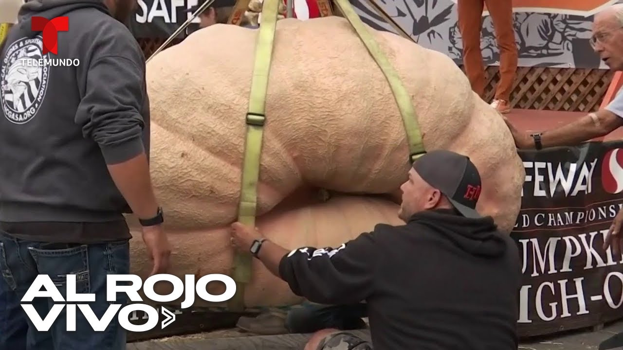 Calabaza gigante rompe récord al pesar 2.749 libras en un concurso de California