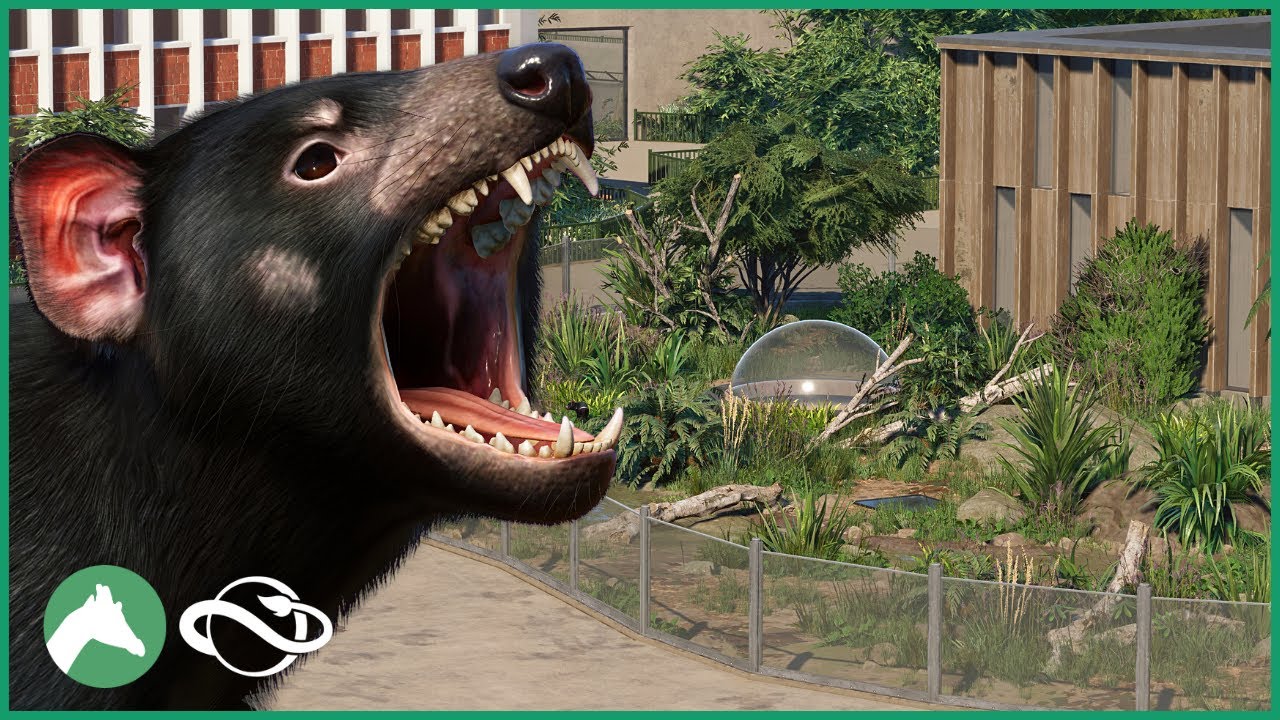 Tasmanian Devil Habitat | Elm Hill City Zoo | Planet Zoo