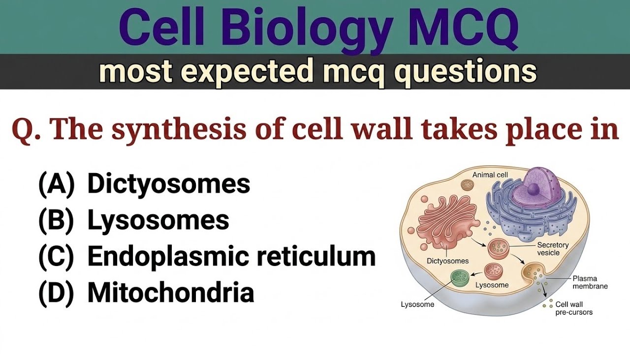 cell mcq questions- cell mcq questions and answers - biology mcqs -Series videos - Part 1