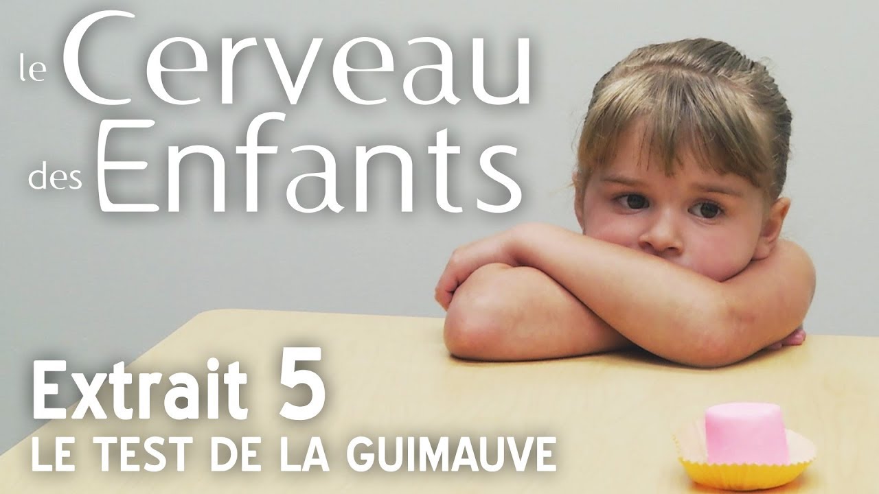 Le Cerveau des Enfants // Extait 05 : le Test de la Guimauve // VF