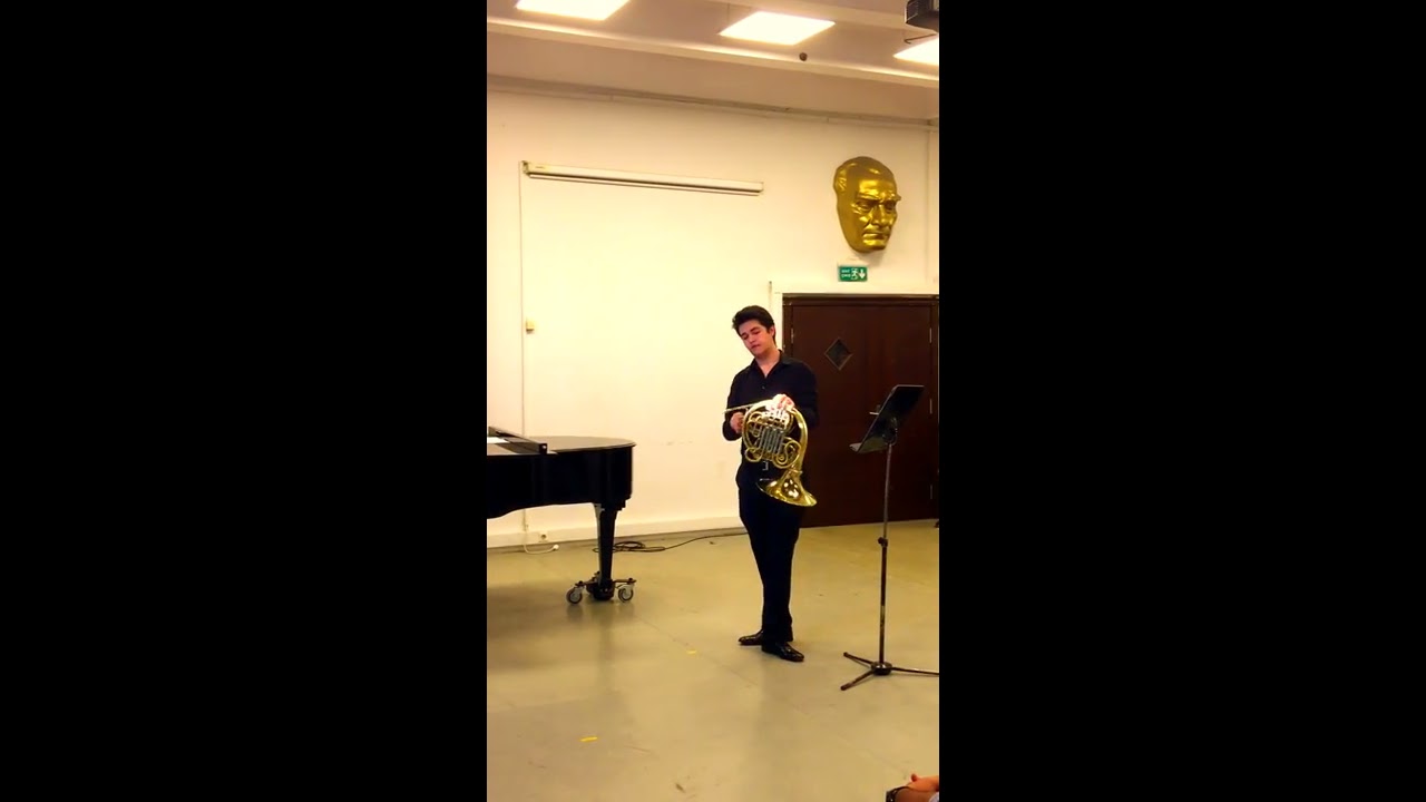 Les Adieux - F. Strauss by Bora Demir