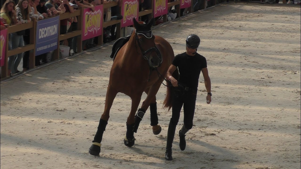 Matt Harnacke Horse Event