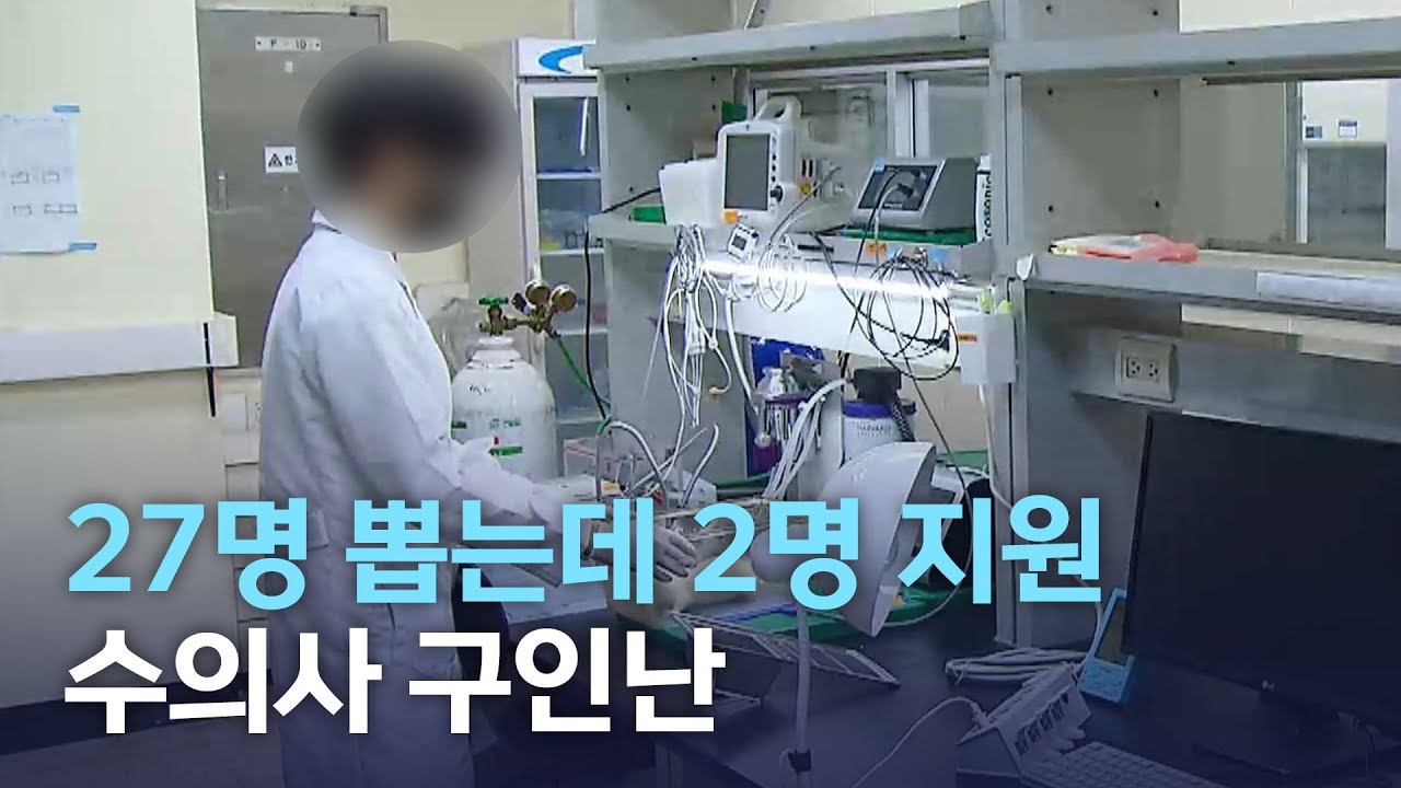 27명 뽑는데 2명 지원 수의사 구인난 | 전주MBC 220408 방송