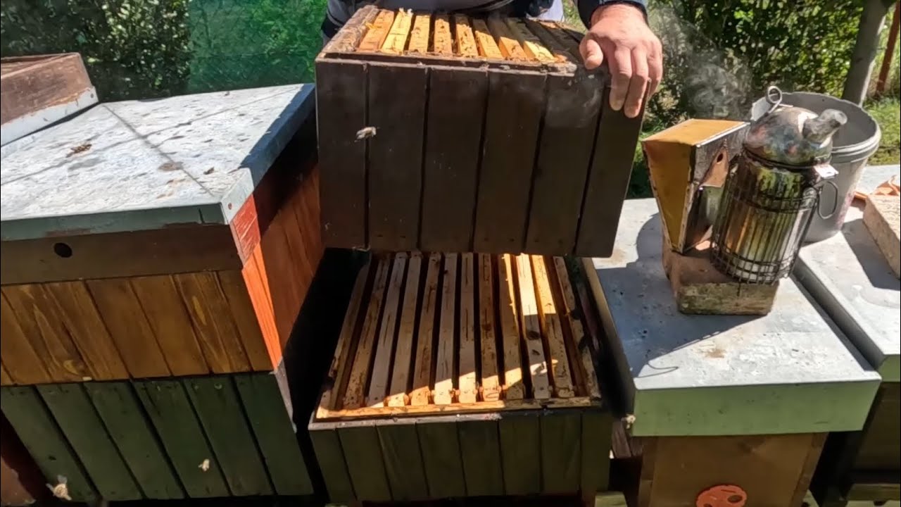 513. Prehodenie n&aacute;dstavkov - zač&iacute;nam kŕmiť na zimu 