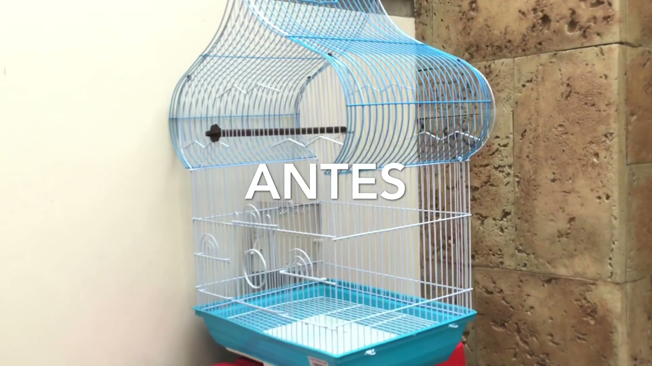 Mi jaula nueva casera