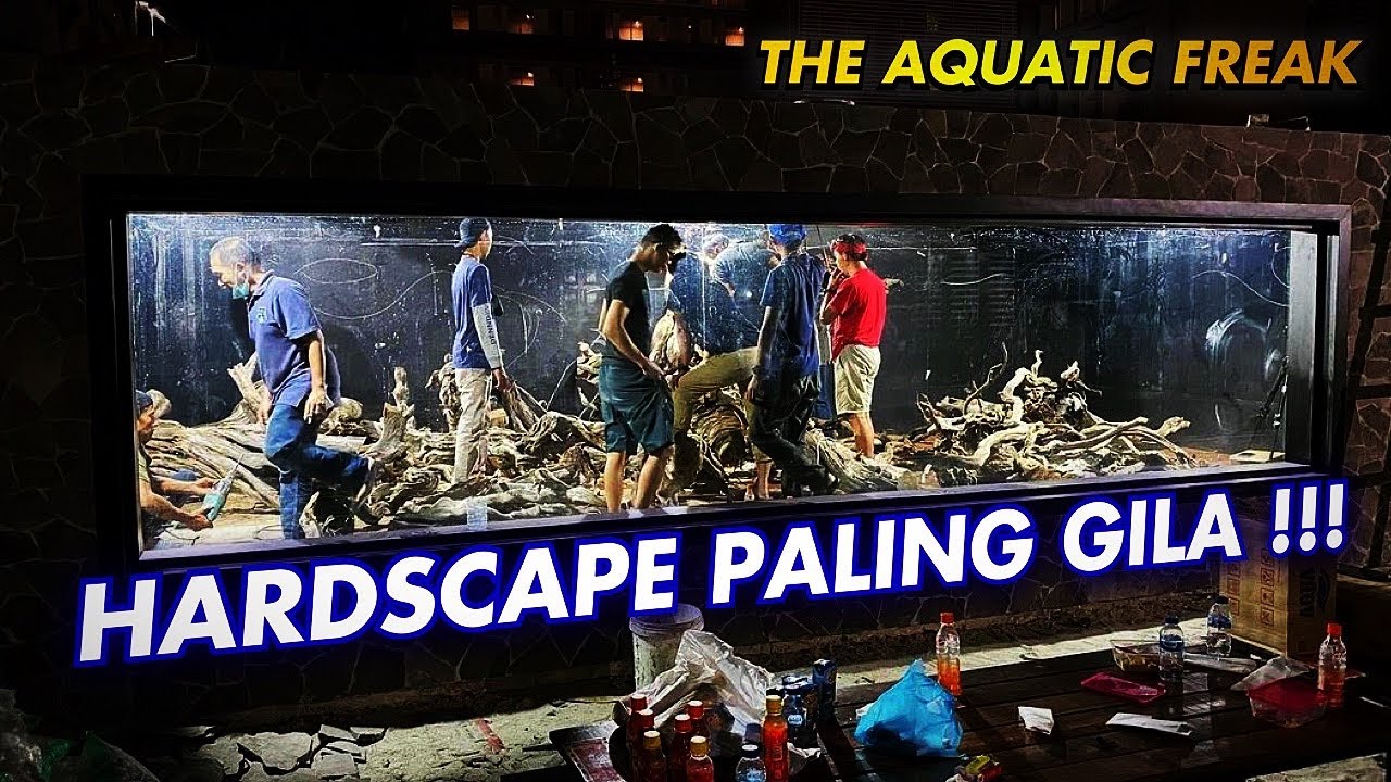 #40- INI SIH GILA !!! HARDSCAPE MEGATANK 100TON - @The Aquatic Freak