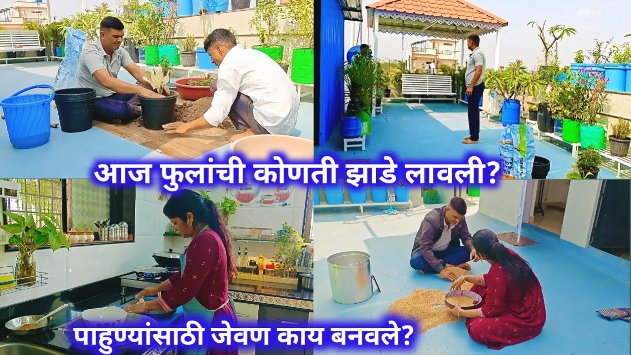 आज फुलांची कोणती झाडे लावली ? पाहुण्यांसाठी जेवण काय बनवले?