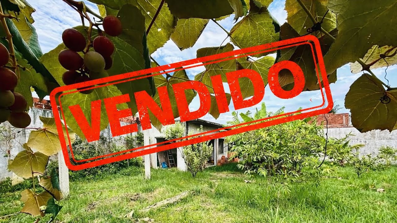 Mini chácara com quase 400 metros quadrados na praia de Peruíbe lindo pomar 