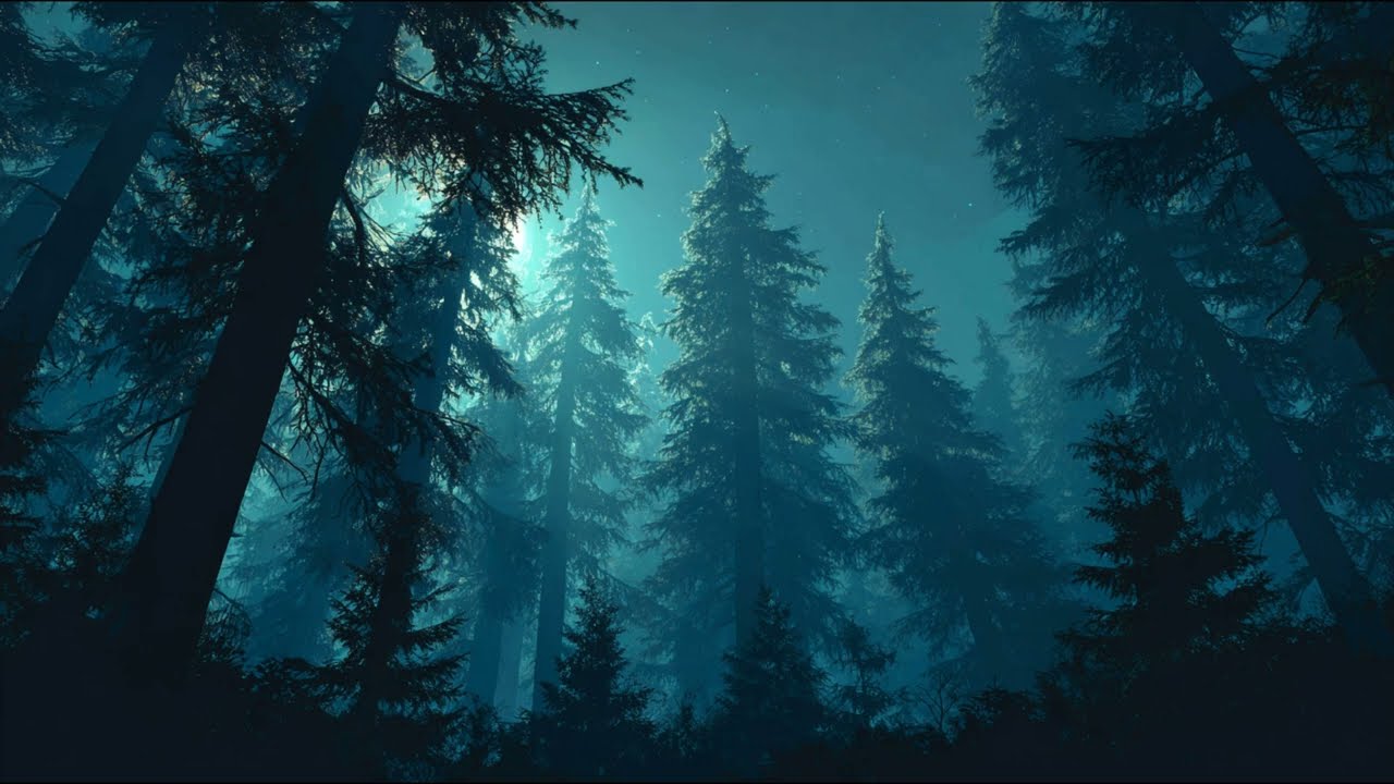 Forest Night Breeze – Relaxation – 3 Hours