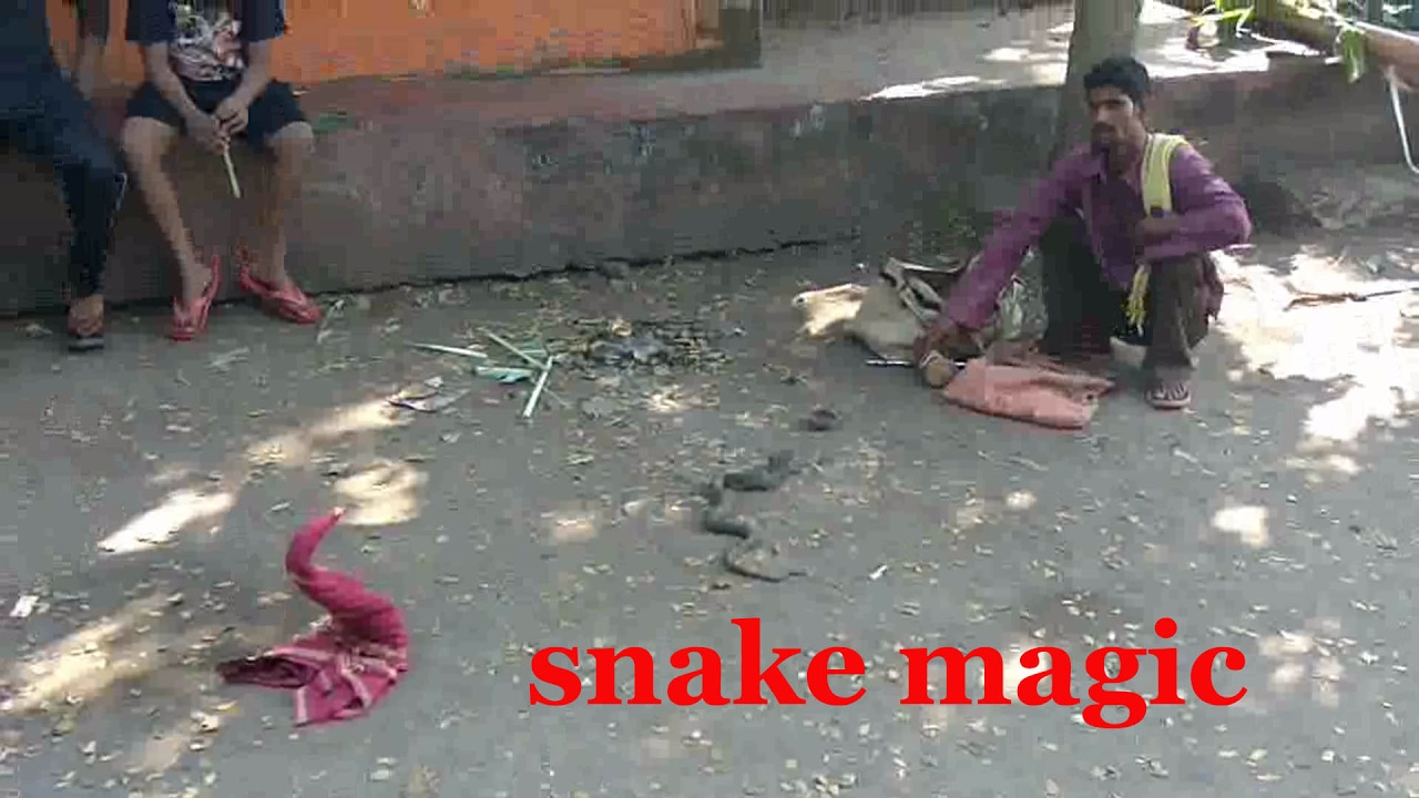 indian street magic show (snake magic)